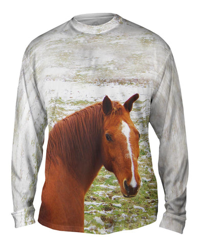 Horse Looking Back