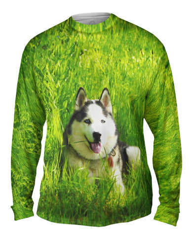 Warm Sunshine Husky