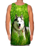 Warm Sunshine Husky