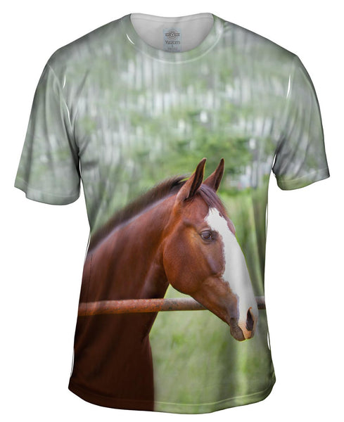 Horse At Rest Mens T-Shirt