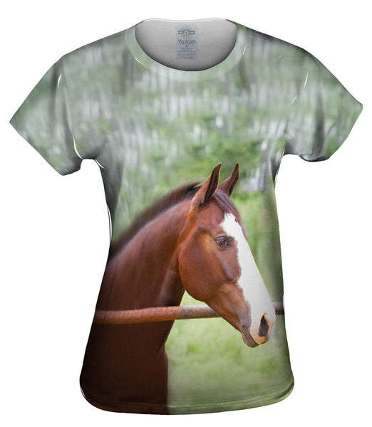 Horse At Rest Womens Top