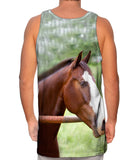 Horse At Rest