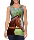 Horse At Rest