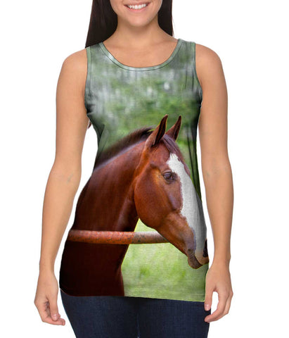 Horse At Rest