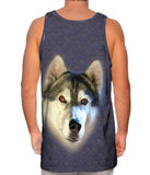 Portrait Husky