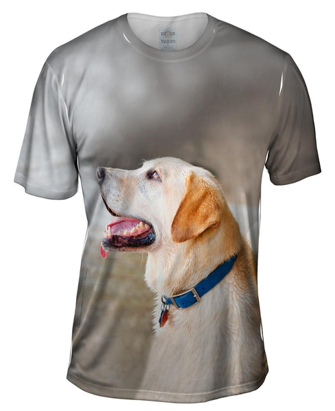 Doggy Looks Up Mens T-Shirt