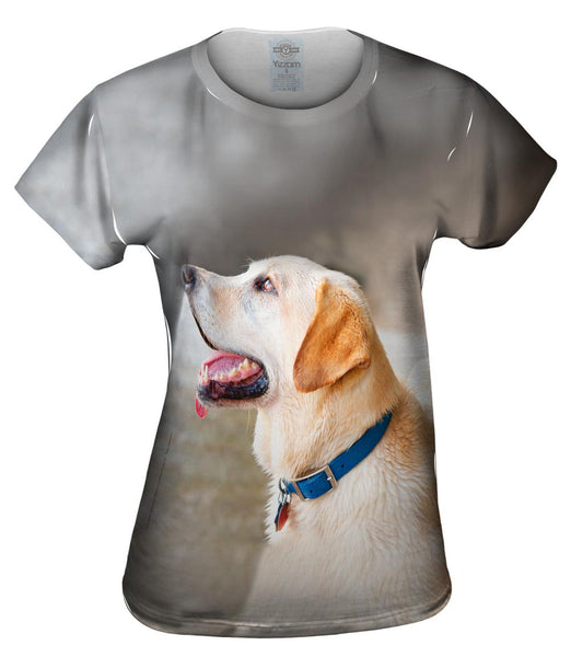 Doggy Looks Up Womens Top