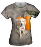 Halloween Pumpkin Puppy