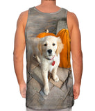 Halloween Pumpkin Puppy