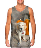 Halloween Pumpkin Puppy