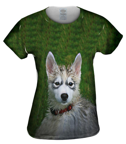 Wet Fun Husky