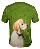 Dreamy Yellow Labrador Puppy
