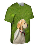 Dreamy Yellow Labrador Puppy