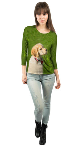 Dreamy Yellow Labrador Puppy