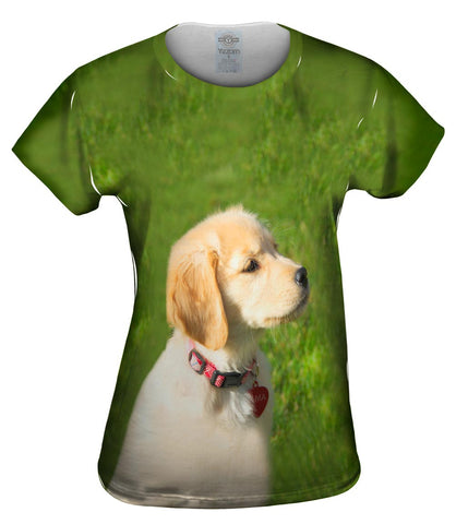 Dreamy Yellow Labrador Puppy