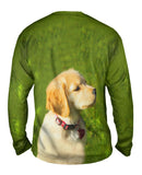 Dreamy Yellow Labrador Puppy