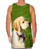 Dreamy Yellow Labrador Puppy