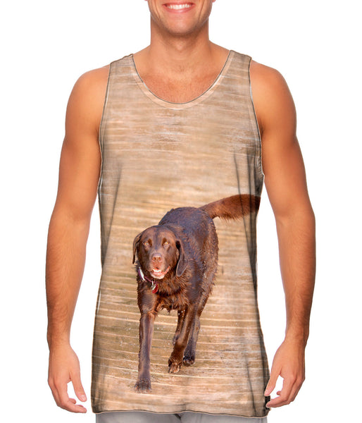 Chocolate Lab Boardwalk Stroll Mens Tank Top