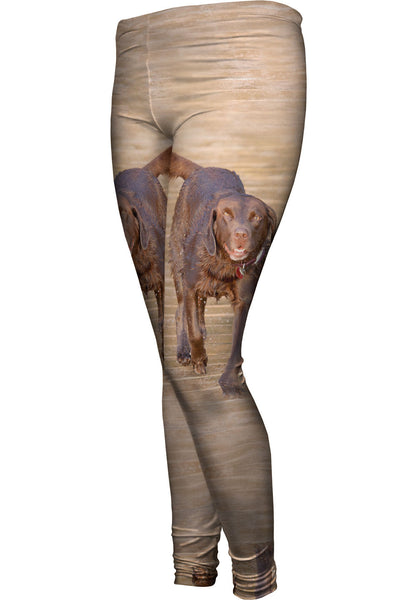 Chocolate Lab Boardwalk Stroll Womens Leggings