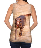 Chocolate Lab Boardwalk Stroll