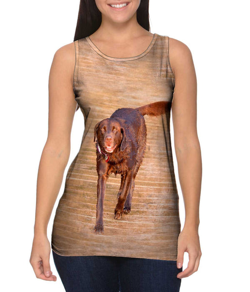 Chocolate Lab Boardwalk Stroll Womens Tank Top