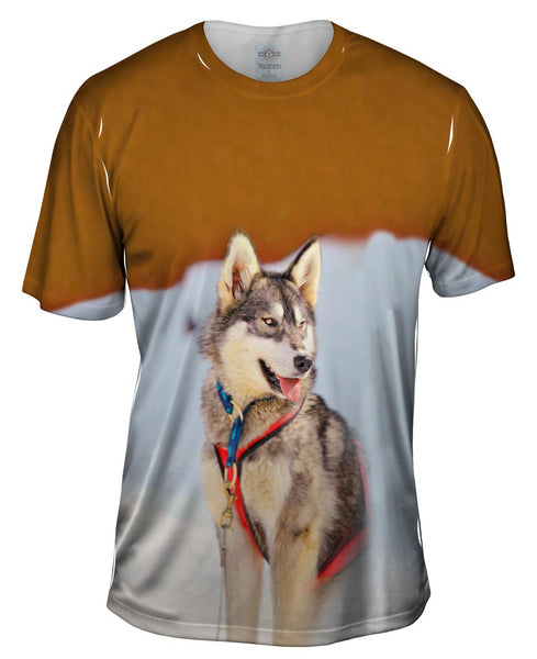 Sledding Husky Mens T-Shirt