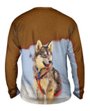 Sledding Husky