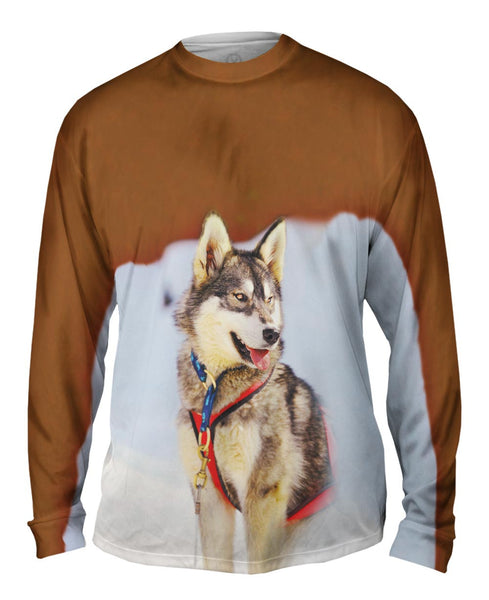 Sledding Husky&nbsp;Mens Long Sleeve