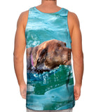 Swimming Chocolate Lab