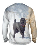 Smokey Poodle In The Snow