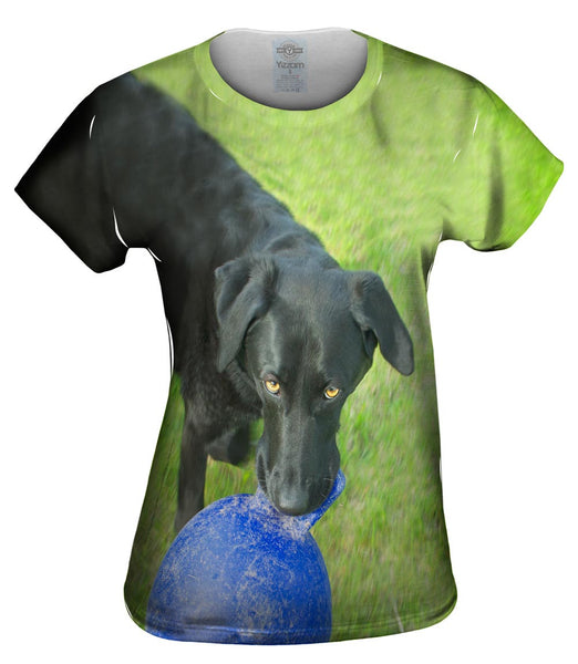 Black Lab And His Ball Womens Top