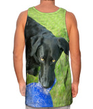 Black Lab And His Ball