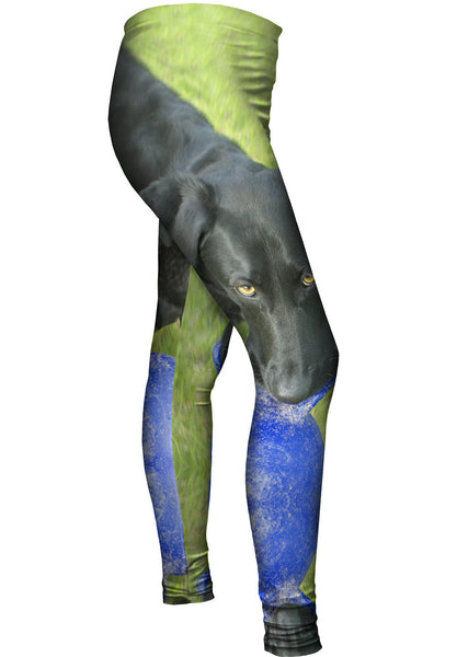 Black Lab And His Ball Womens Leggings
