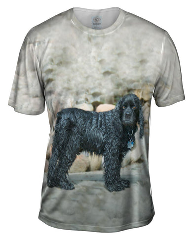 Sad Wet Cocker Spaniel