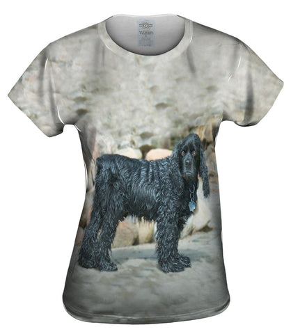 Sad Wet Cocker Spaniel