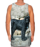 Sad Wet Cocker Spaniel