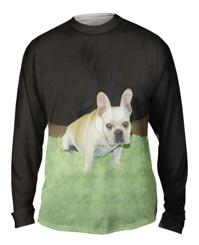 Grassy Pug