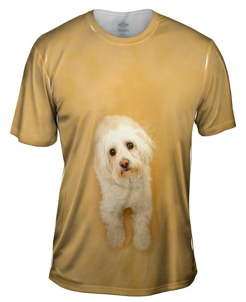 Sad White Puppy Mens T-Shirt