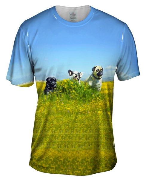 Trio Pugs Mens T-Shirt