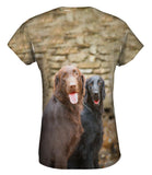 Labrador Friends
