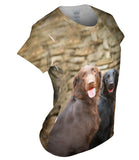 Labrador Friends