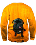Mini Pug