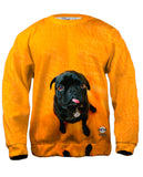 Mini Pug