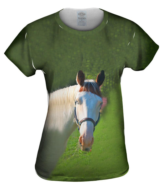 Paso Fino With Spunk Womens Top