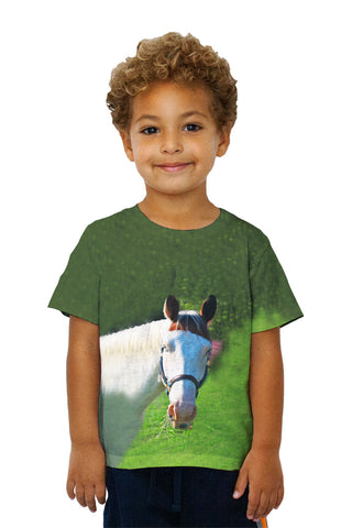 Kids Paso Fino With Spunk