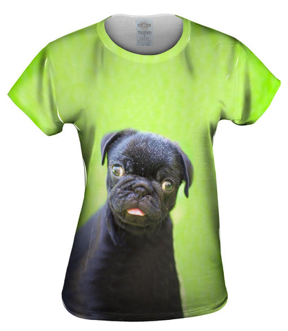 Dark Baby Pug