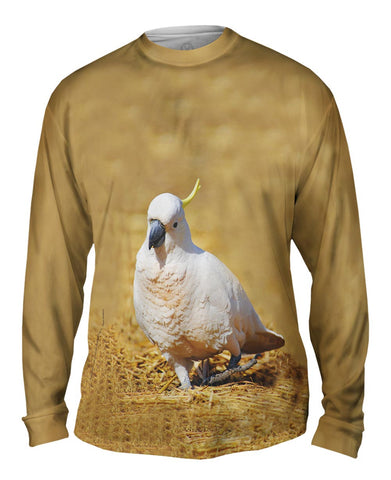 Dancing Cockatoo