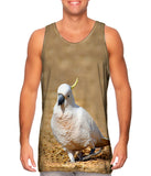 Dancing Cockatoo