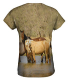 Horses At Stream
