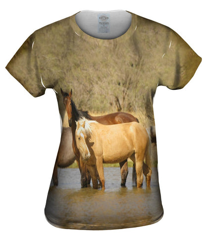 Horses At Stream